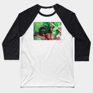 Сhameleon sitting on a tree branch Baseball T-Shirt